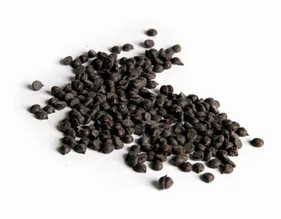 Belcolade Dark Grains